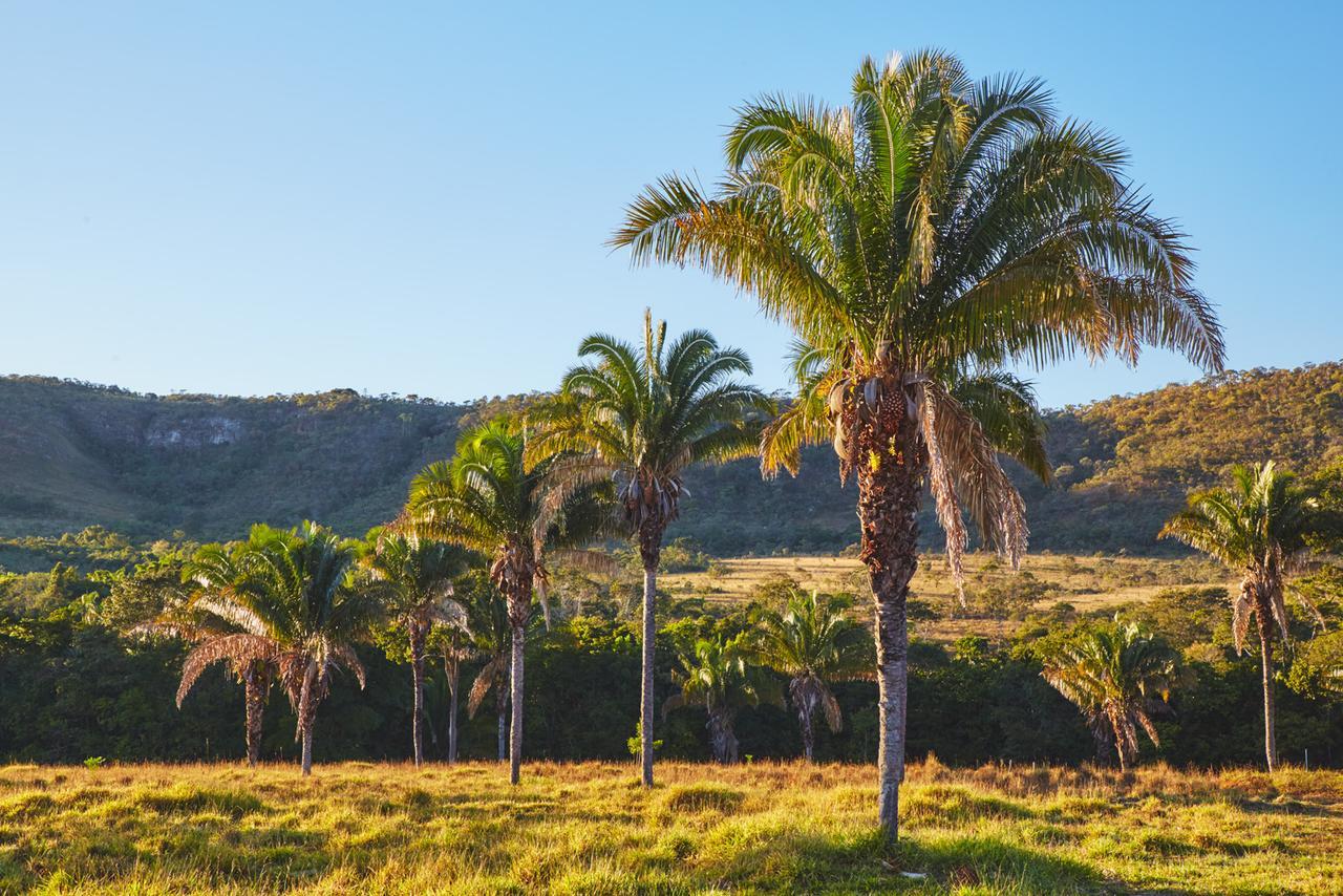 Alto Paraíso de GoiásEit Eco Inteligente别墅 外观 照片