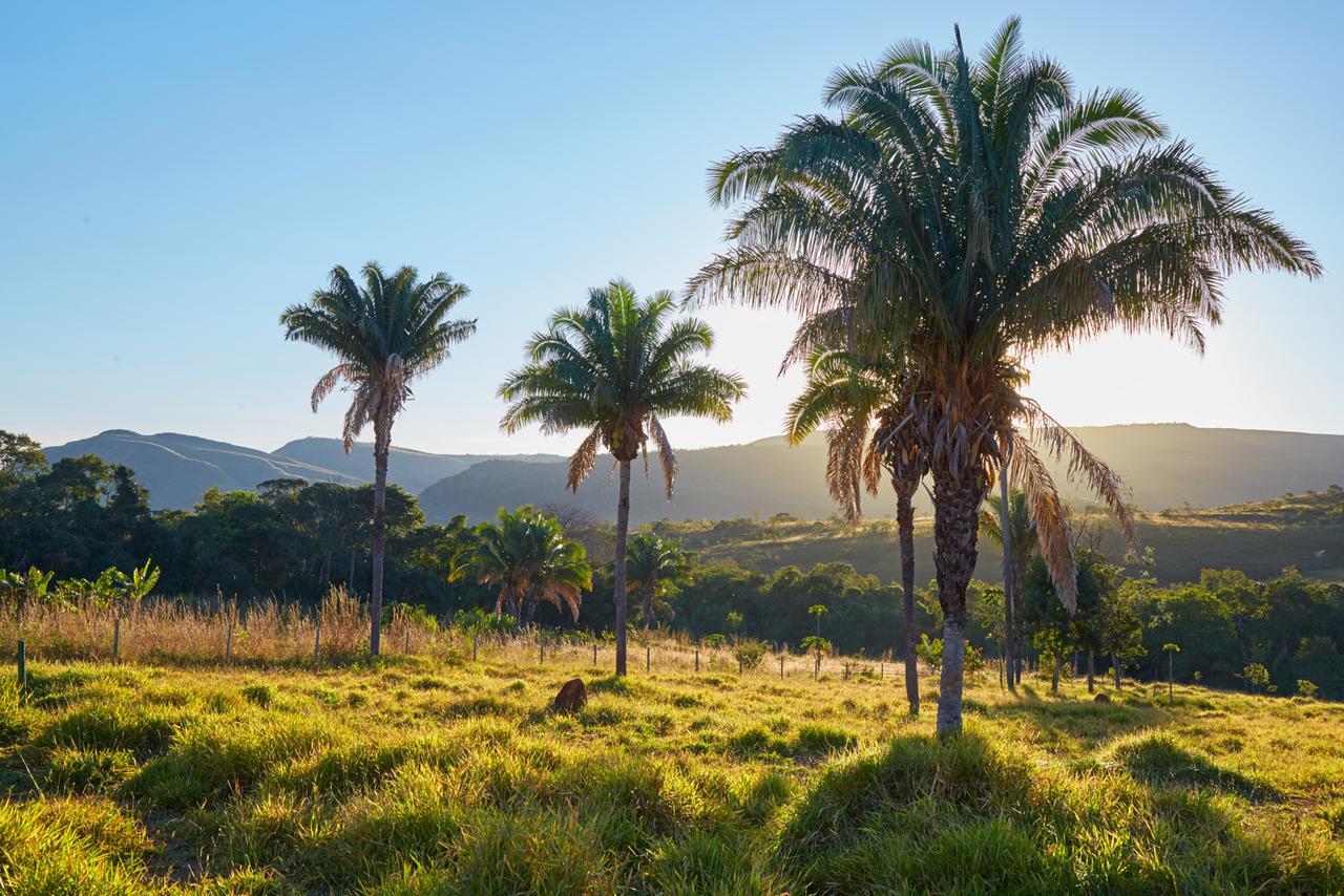 Alto Paraíso de GoiásEit Eco Inteligente别墅 外观 照片